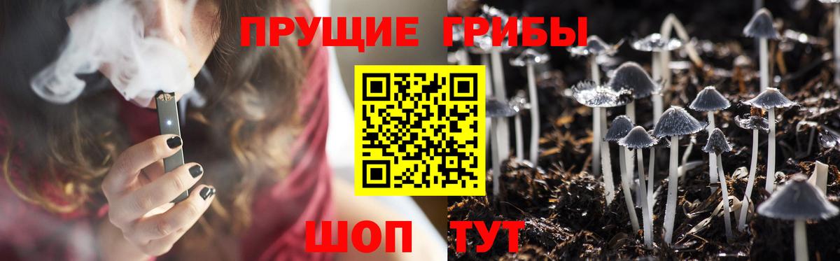 Касимов  Галлюциногенные грибы мицелий  купить закладку  Вход с VPN 
